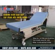 Giường điện tập phục hồi chức năng cao cấp